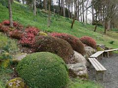 149 PARC ORIENTAL DE MAULEVIER MAINE ET LOIRE 2016 N0_000044
